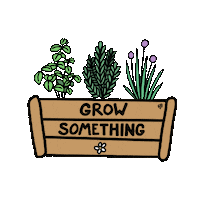 Flowers Grow Sticker