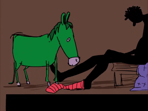 octofitz giphyupload morning horse donkey GIF