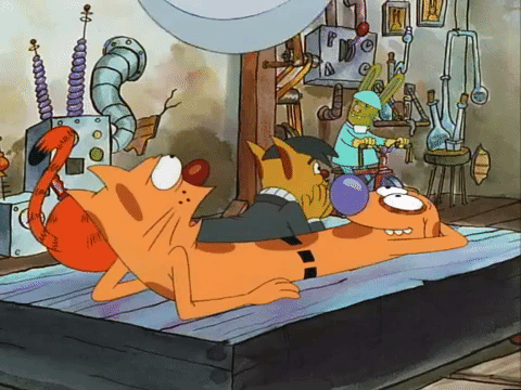nicksplat GIF