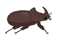Bug Insect Sticker
