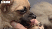 Tired Time For Bed GIF by CBBC