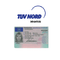 fuhrerschein Sticker by TÜV NORD GROUP