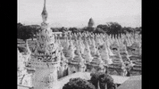 Youtube Film GIF