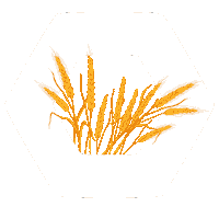 Wheat Novruz Sticker by Bravo Supermarket