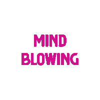 MyCraftyCounter mind blowing wundereggs vegan eggs crafty counter Sticker