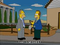 homer simpson episode 10 GIF