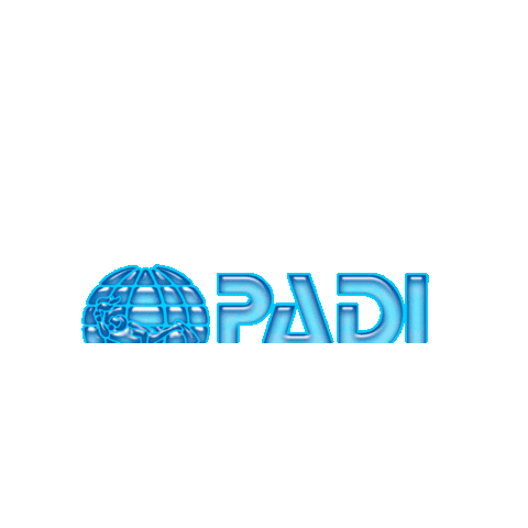 Padi Sticker by Buceo Madrid