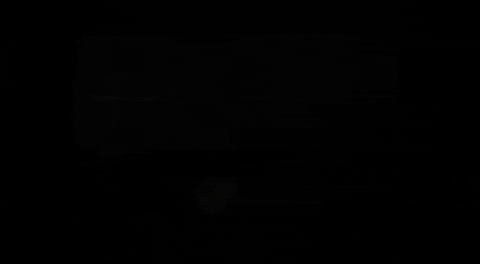 ohneweil giphyupload GIF