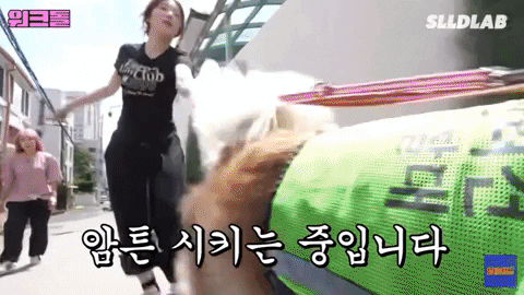 bongjunjeong giphyupload GIF