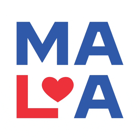 Make America Love Again - 5