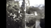 Slow Down GIF by Peter McPoland
