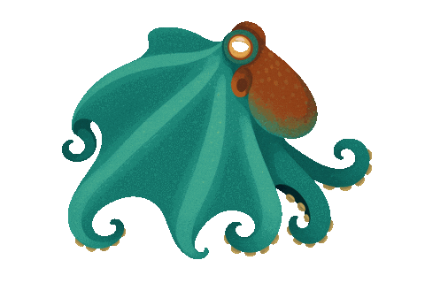 Octonation Sticker by OctoNation® The Largest Octopus Fan Club!