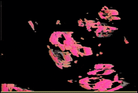 Video Art GIF by cskonopka