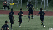 Happy Soccer GIF by USL