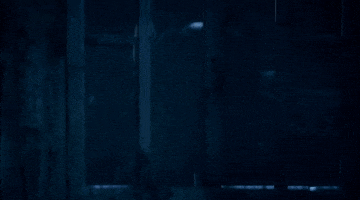 GIF by Resident Evil: Vendetta