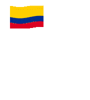 Futbol Colombia Sticker by Saeta
