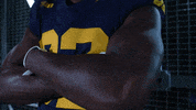 Go Blue Ncaa Football GIF by Michigan Athletics