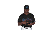 miami marlins Sticker by MLB