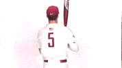 Baseball Roll Pards GIF by Lafayette Leopards