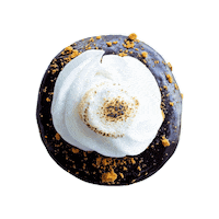 Donuts Smores Sticker by MavericksDonuts