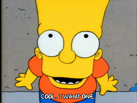 Season 1 Episode 3 GIF by The Simpsons