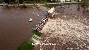 GIF by PBS Digital Studios