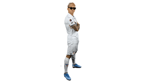 Ldu2020 Sticker by LDU_Oficial