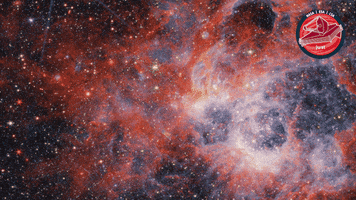 James Webb Stars GIF by ESA Webb Space Telescope