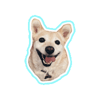 Psitwor dog doggo happy dog gluten Sticker