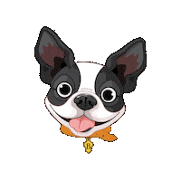 Jw Founders Day Sticker by National Beta Club