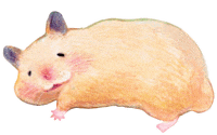 Sleep Smile Sticker