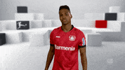 Bayer 04 Love GIF by Bundesliga