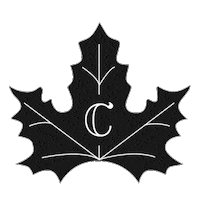 fashion logo Sticker by Camaleonicas