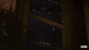 Staring King Kong GIF by HBO Max