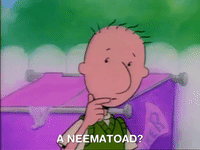 nicksplat doug GIF