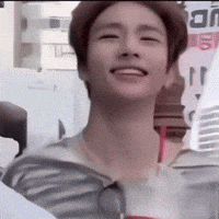 Stray Kids Judging GIF by lgcapucci