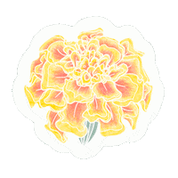 October Oct Sticker