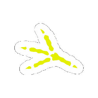 Bird Footstep Sticker by Kaaitheater