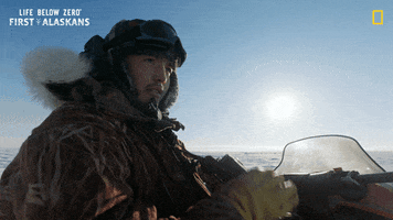 Snow Looking GIF by National Geographic Channel