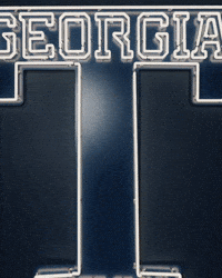 Georgia Tech Baseball GIF by Georgia Tech Yellow Jackets