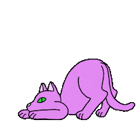 Downward Dog Cat Sticker by Spaghetti