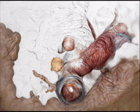Lab Onf GIF by Alex Boya