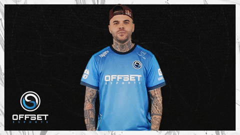 Fox O7 GIF by OFFSET Esports