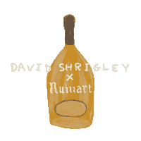 David Shrigley Champagne Sticker by Claire Bonnet