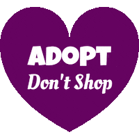 Adopt Save A Life Sticker by Foster Bubbies