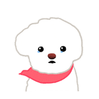 Sad Bichon Frise Sticker by pikaole