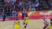 Assist Liga Endesa GIF by ACB