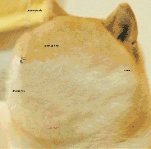 Doge Enhance GIF