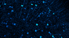 technology motion graphics GIF by Matthew Butler