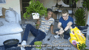 tyleroakley flower youtube house plant GIF
